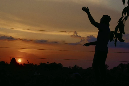 Documentário: “Pau D’arco” alia cinema e jornalismo em um retrato comovente sobre liberdade e violência no campo